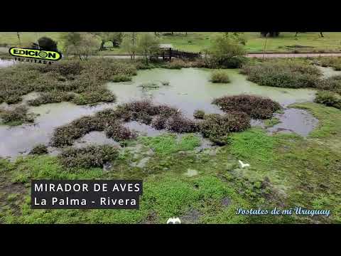 MIRADOR DE AVES - La Palma - Rivera
