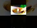 PBS Kids Program Break 2018 Rocky Mountain PBS INCOMPLETE