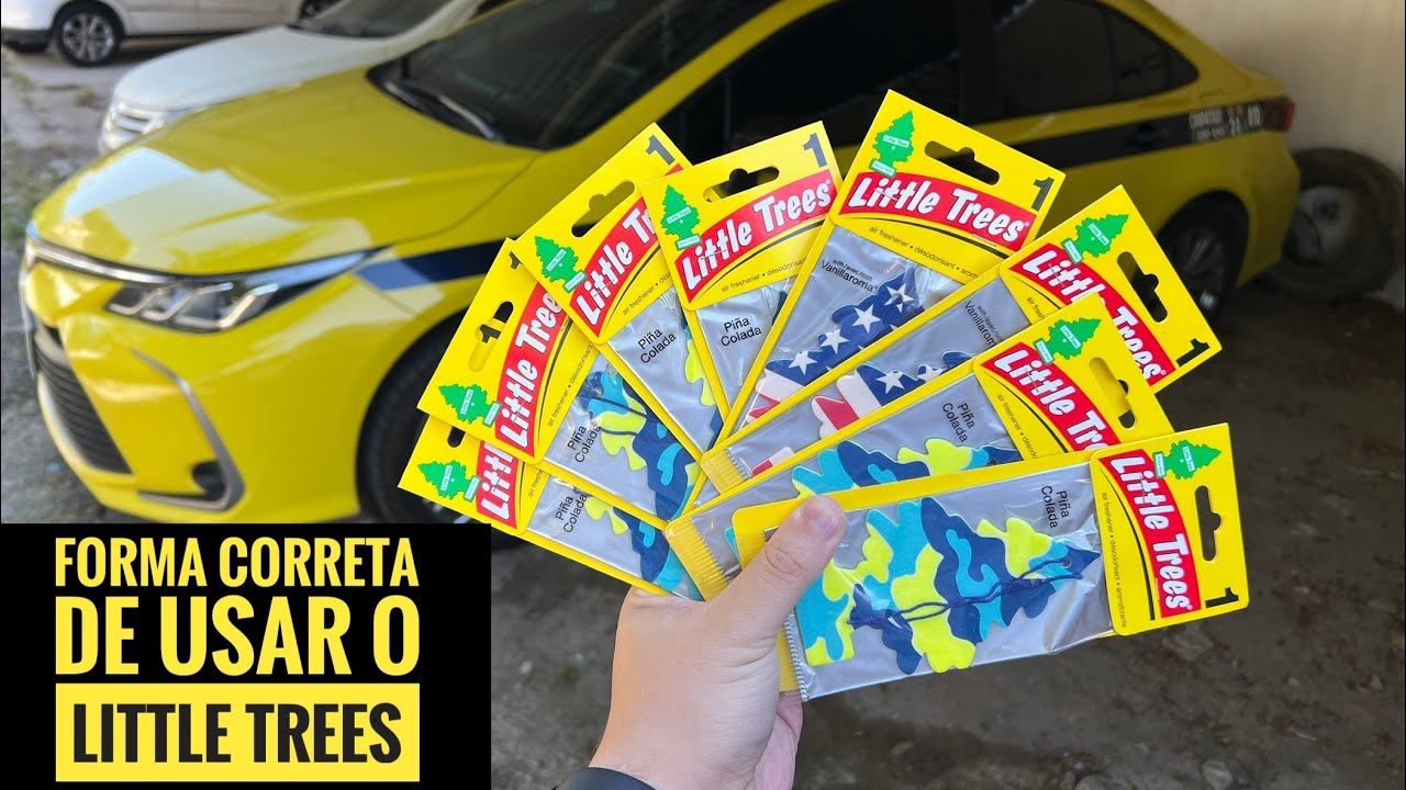 🔴 Esse é o MELHOR cheirinho para carro (Little Trees - vale a pena?)