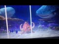 The Sword In The Stone Parody Part 8 Being A Fish
