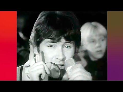 The Troggs • “Wild Thing” • 1966 [Reelin' In The Years Archive]