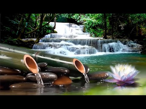 Relax and fall asleep with the original bamboo fountain - Music heals body and soul