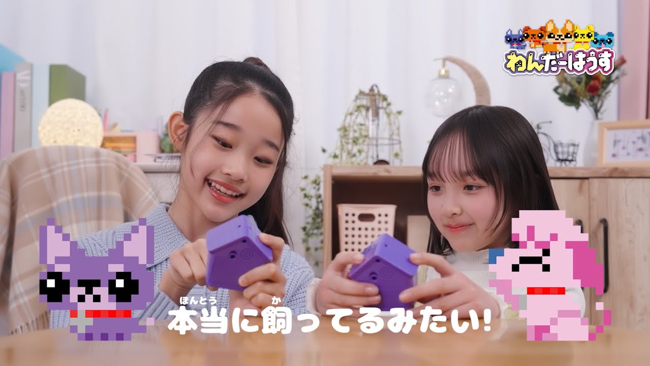 【わんだーはうす】わんこを集めてお世話しよう！