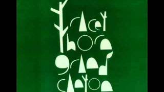 Tracey Thorn - Grand Canyon