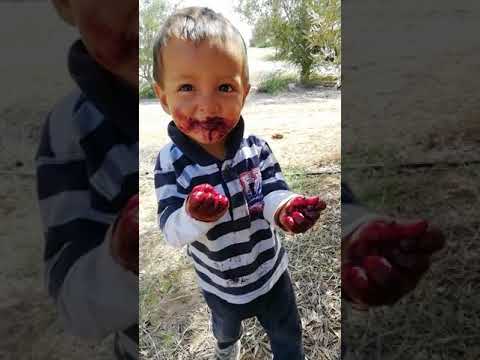 Brain-eating zombie baby