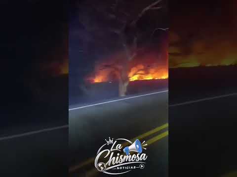 ¡ALERTA POR INCENDIO DE COBERTURA VEGETAL EN LA VÍA LA PLATA–TESALIA HUILA! 8 SEP