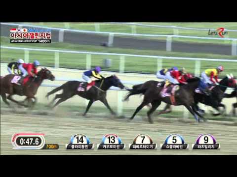 Asia Challenge Cup 2014 - El Padrino