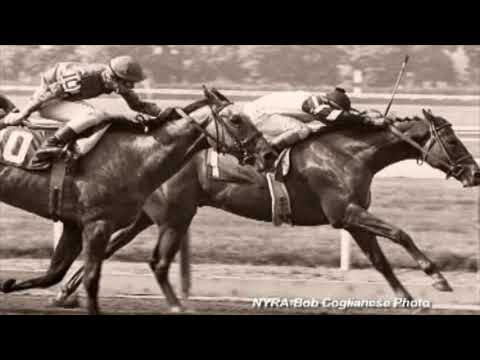 Affirmed and Alydar Rivalry