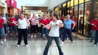 preview picture of video 'Flash Mob - Chicago Ridge Mall'