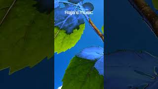 Download lagu Thenmadurai Vaigainathi BGM #isaignani #isaignaniilayaraja #ilayarajabgm #ilayarajamusic #ilayaraja mp3 Download lagu Thenmadurai Vaigainathi BGM #isaignani #isaignaniilayaraja #ilayarajabgm #ilayarajamusic #ilayaraja mp3