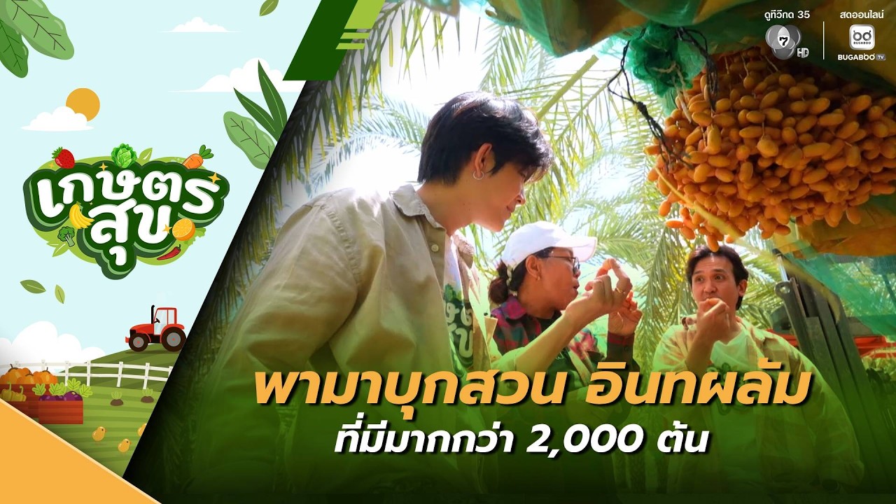 เกษตรสุข EP.28 | พามาบุกสวน อินทผลัม ที่มีมากกว่า 2,000 ต้?