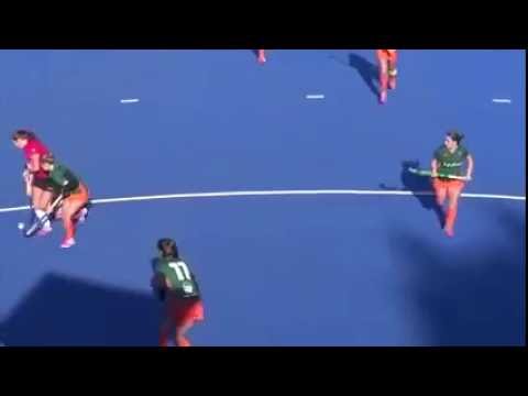 Samenvatting Zoetermeer D1 - Alphen D1