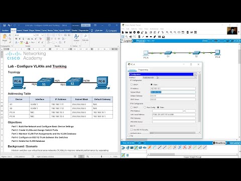 3.4.6 Lab - Configure VLANs and Trunking