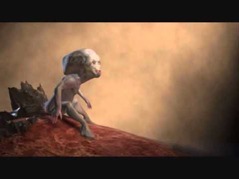 Dualism And Osher - Remote View