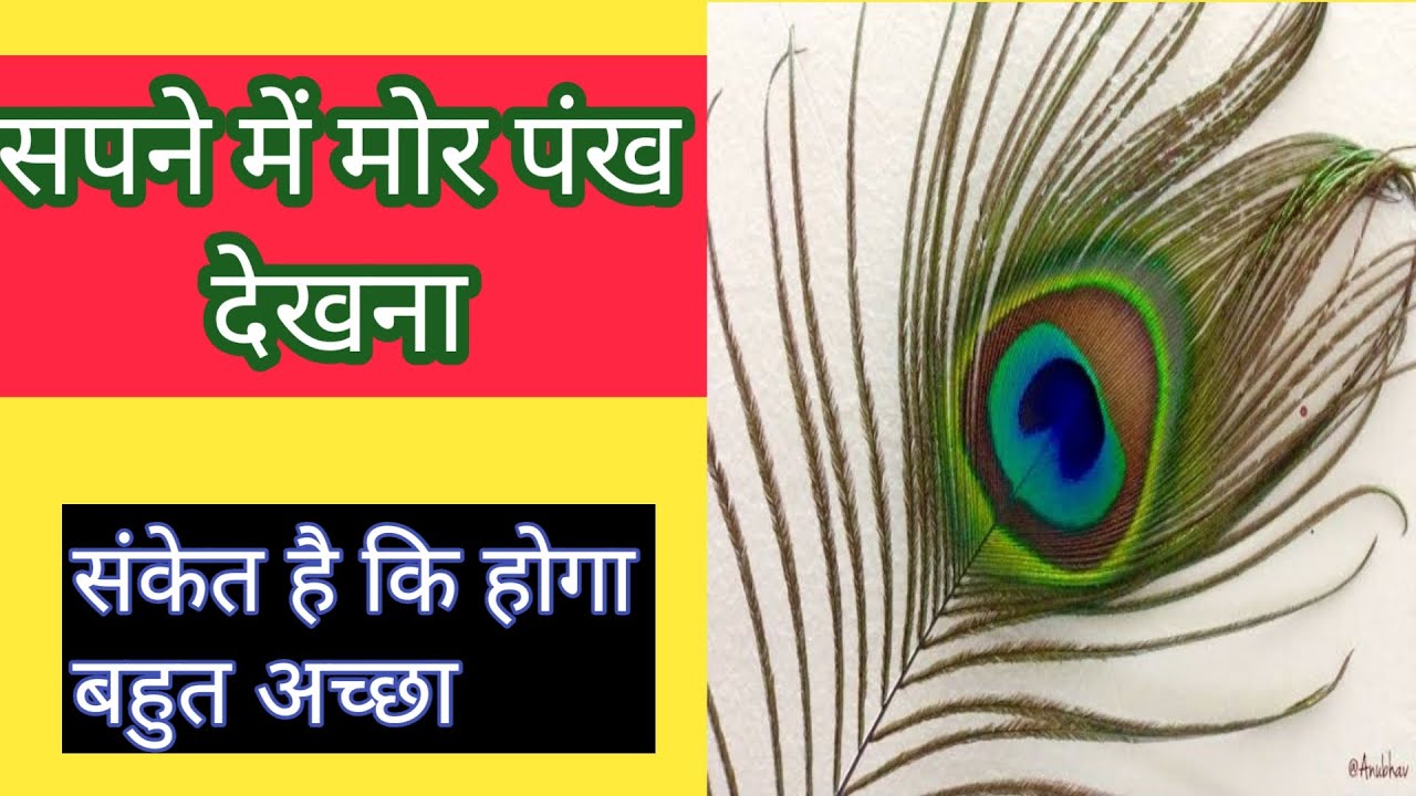 Watch video सपने में मोर पंख देखना, sapne me morpankh dekhna, seeing morpankh in dream Now सपने में मोर पंख देखना, sapne me morpankh dekhna, seeing morpankh in dream
