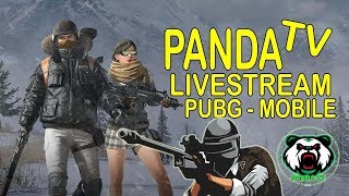 panda push to top 10 pubg lite