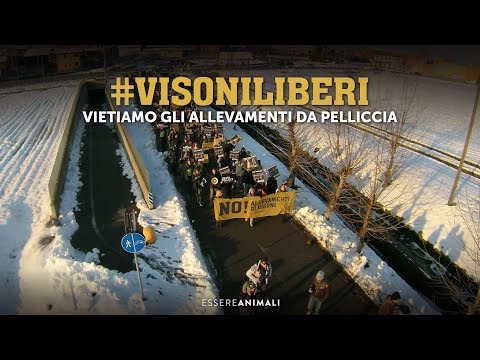 Visoni Liberi | La campagna per vietare gli allevamenti di animali da pelliccia