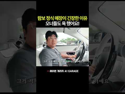 람보르기니 오너들도 욕 했어요! #automobile #자동차