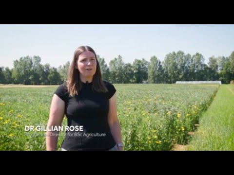 Explore BSc Agriculture play video