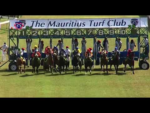 RM5 R1 | Sacred Night | A.Roy