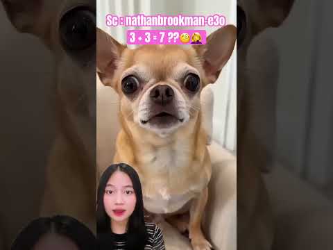 Salah makan‼️jadi keluar gelembung🐶 nathanbrookman-e3o