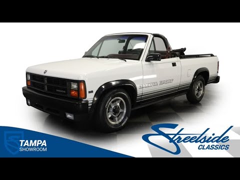 1989 Dodge Dakota (CC-1928449) for sale in Lutz, Florida