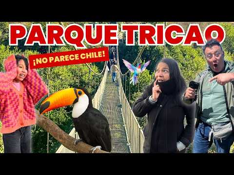 Parque Tricao: El lugar más increíble que hemos visitado en Chile 🇨🇱
