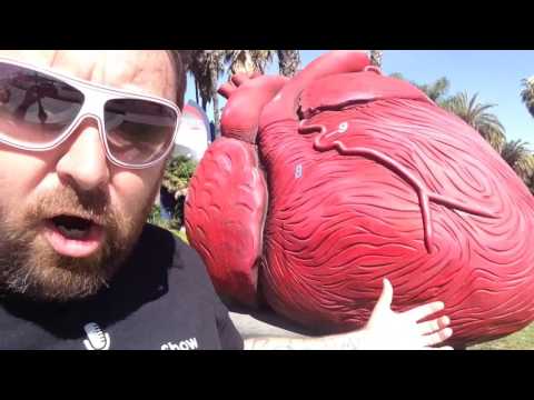 TDW 1361 - Massive Heart and Medieval Knight