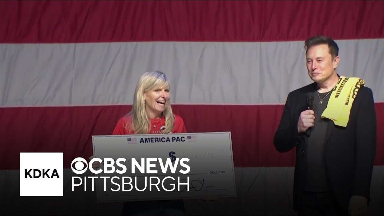 Experts question legality of Elon Musk's $1 million giveaway