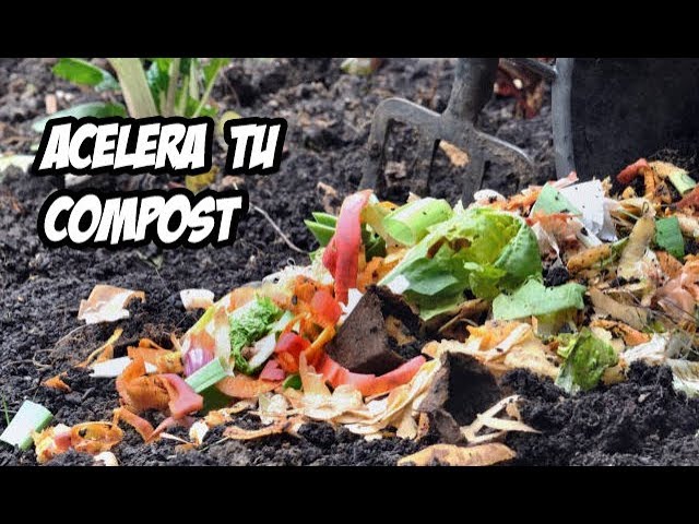 7 Trucos para Acelerar el Compost | Cómo potenciar el compostaje en tu huerto