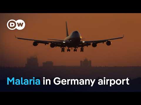 Third malaria death linked to Frankfurt Airport outbreak | DW News