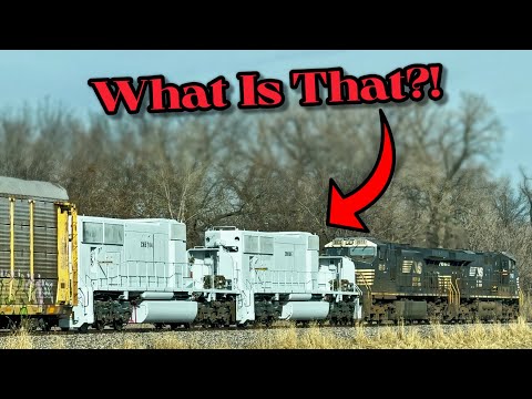 WHAT THE HECK IS THIS?!?!