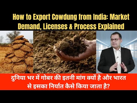 Global Cowdung Demand: How to Export Cowdung from India + License Guide #india #indian #export