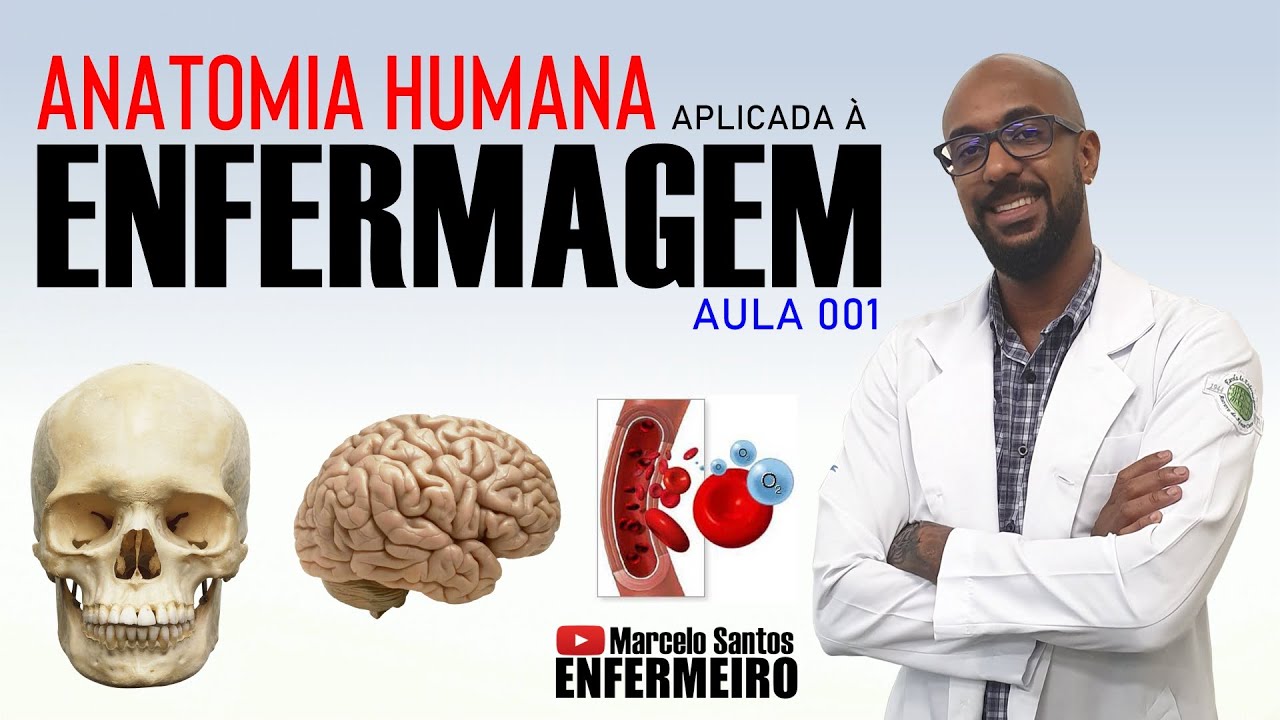 O Que é Anatomia Na Enfermagem O Que é Anatomia Na Enfermagem