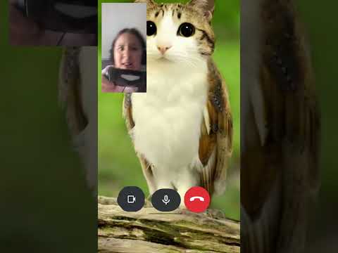 ٦ يناير ٢٠٢٦