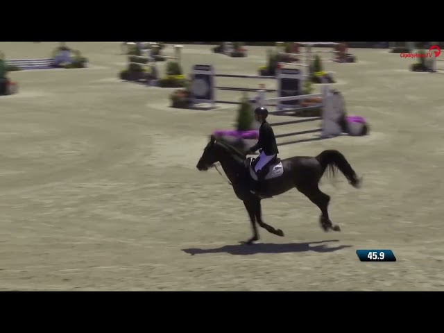 Half-brother of the mother of El Pegase RV Z is the Grand Prix CSI 1.55m stallion Pegase van't Ruytershof with rider Jeroen de Winter.