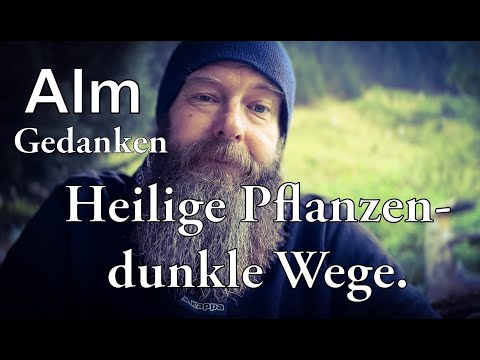 Alpine thoughts: Sacred plants, dark paths