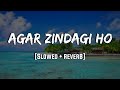 Agar Zindagi Ho Balmaa Slowed Reverb LoFi Mood 90 S