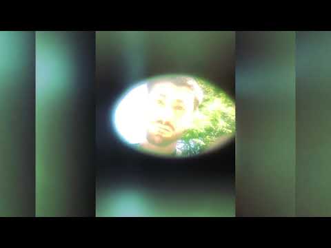 Brother Green Bear - Ireland's Green