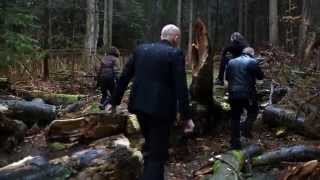 Video Výsměch? - This Is the End (Štěpán Jílek, 3bees studio, 2014)