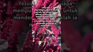 Download lagu PERUMPAMAAN PENABUR BENIH, JATUH KE TANAH YANG BAIK, LUKAS 8:8 #ayat #injil #alkitab mp3