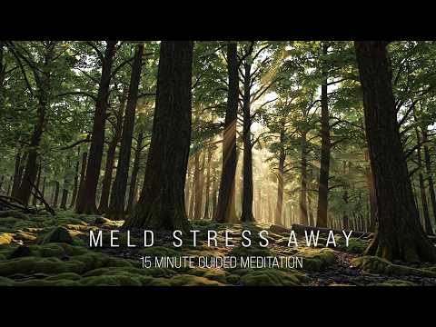 15-Minute Guided Forest Meditation for Managing Stress & Anxiety