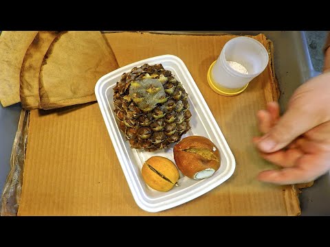 Pineapple & other citrus as "ping-pong" feeding for worms - vermicompost