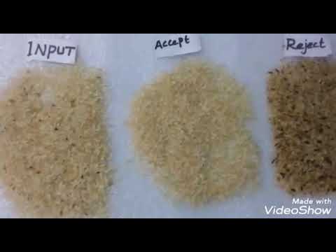 Rice Color Sorter - GENN RX-Series