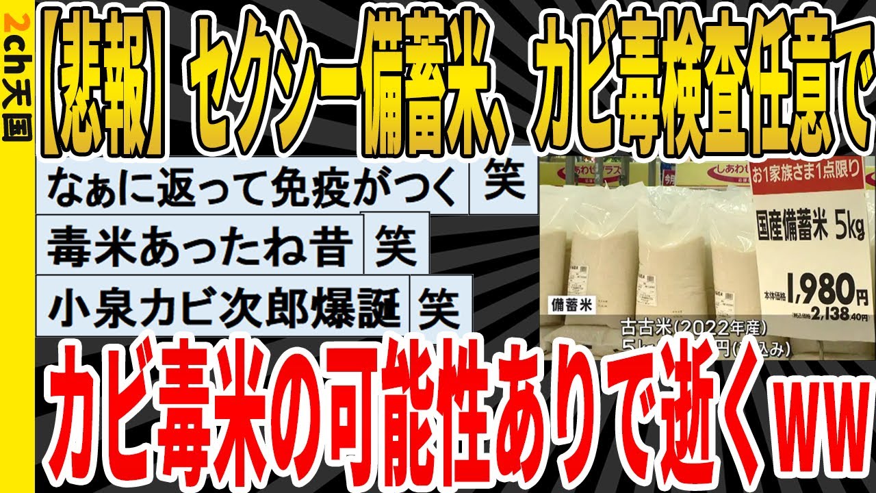 【2ch面白いスレ】【悲報】セクシー備蓄米、カビ毒検査任意でカビ毒米の可能性ありで逝くｗｗｗｗｗｗｗｗｗｗｗ　聞き流し/2ch天国