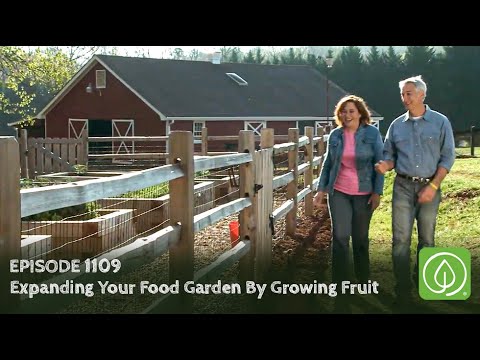 Growing a Greener World Episode 1109: Expanding Your Food Garden By Growing Fruit