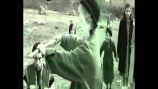 Collage Film Italiani