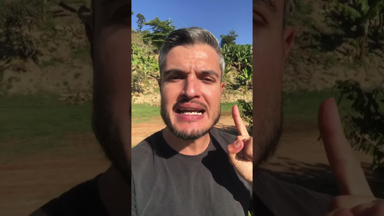 MELHOR REMÉDIO PARA SARNA DE CACHORRO COM COCEIRA NO CORPO