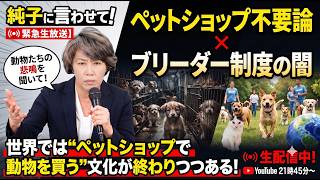 日本保守党 群馬二区支部長 伊藤純子 がライブ配信中！