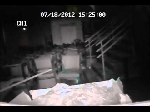 Club Chameleon Video 1